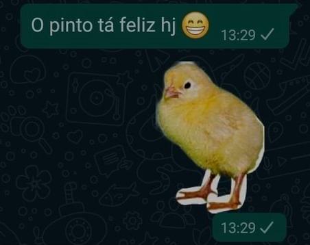 Imagem