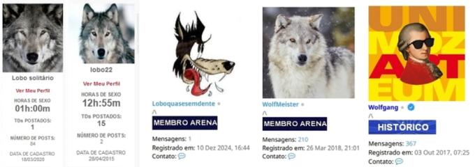 Imagem